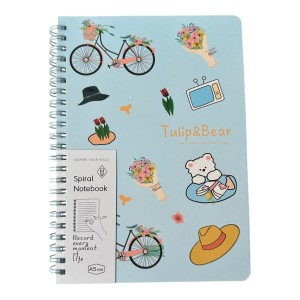 CADERNO ANOTAÇÕES REF.6825-45